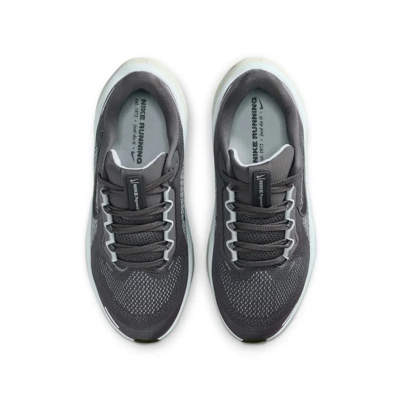 Nike Air Zoom Pegasus 41 Medium Ash Pale Ivory Black (FN5041-201)
