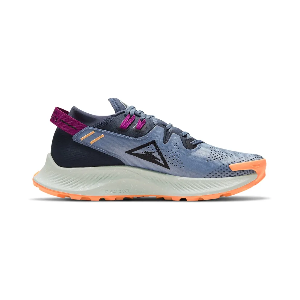 Nike Pegasus Trail 2 Trail Running Blue (CK4309-401)