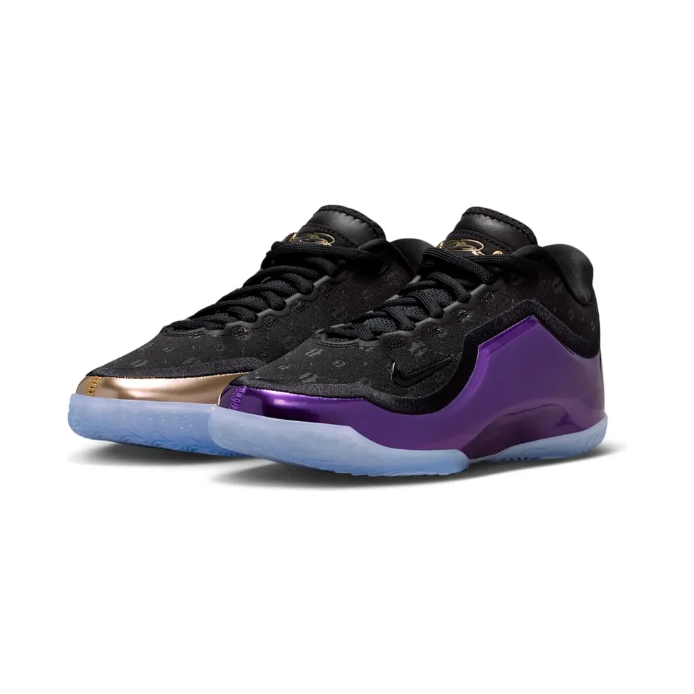 Nike LeBron 23 The Chosen One and The One Who Chose (IQ6709-001)