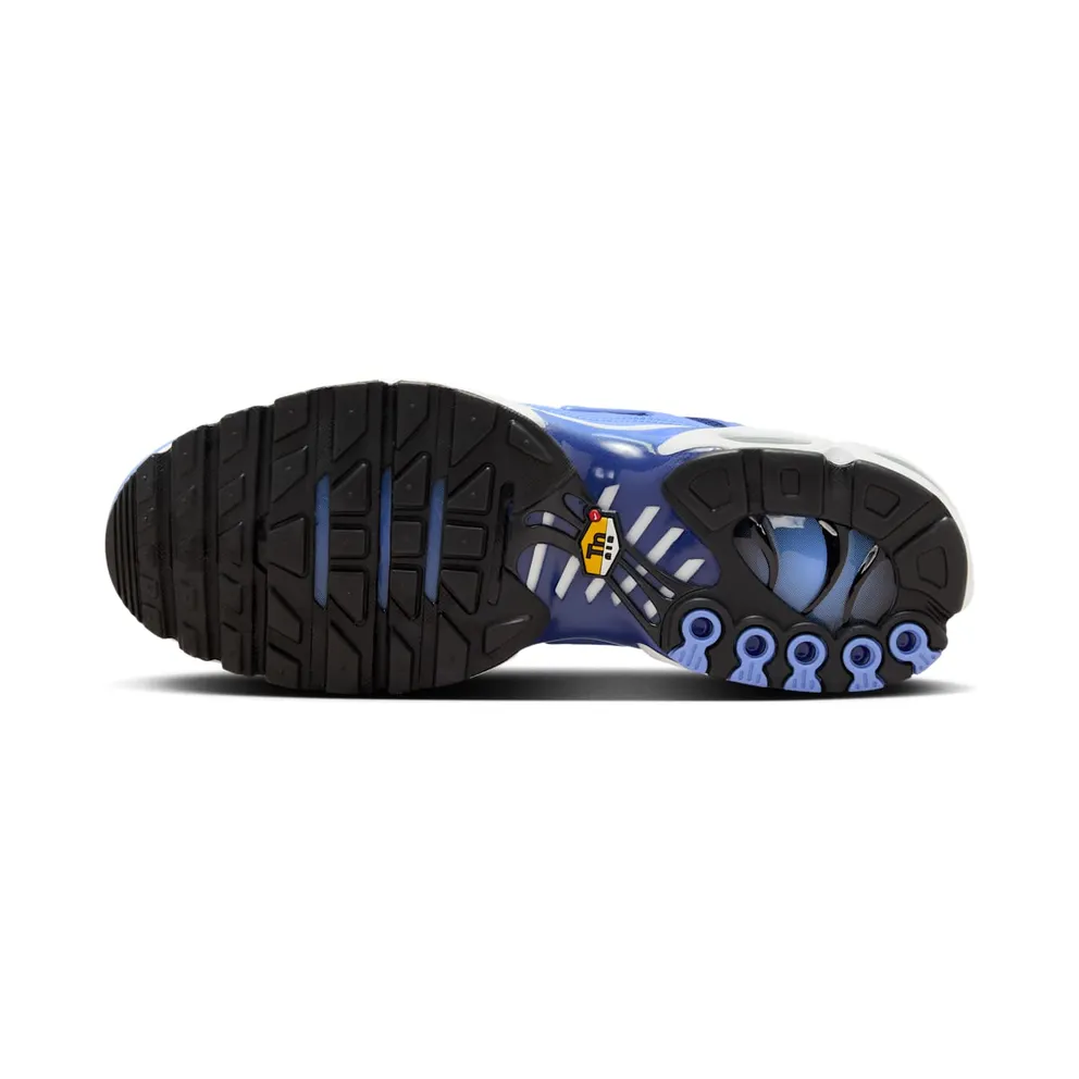 Nike Air Max Plus Blue (DM0032-403)