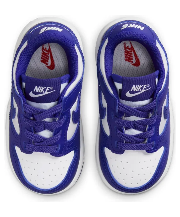 nike-dunk FB9107-106