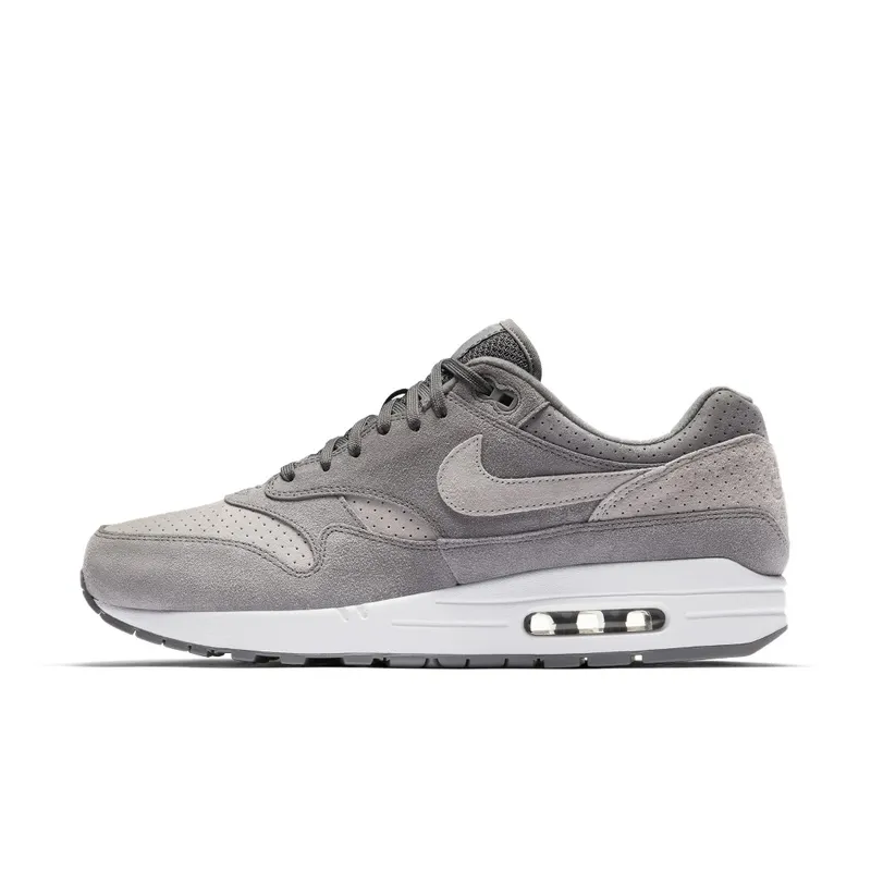 Nike Air Max 1 Cool Grey Wolf Grey (2018) (875844-005)