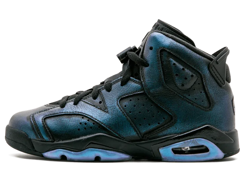 Jordan 6 Retro All Star 2017 “Chameleon” (GS)