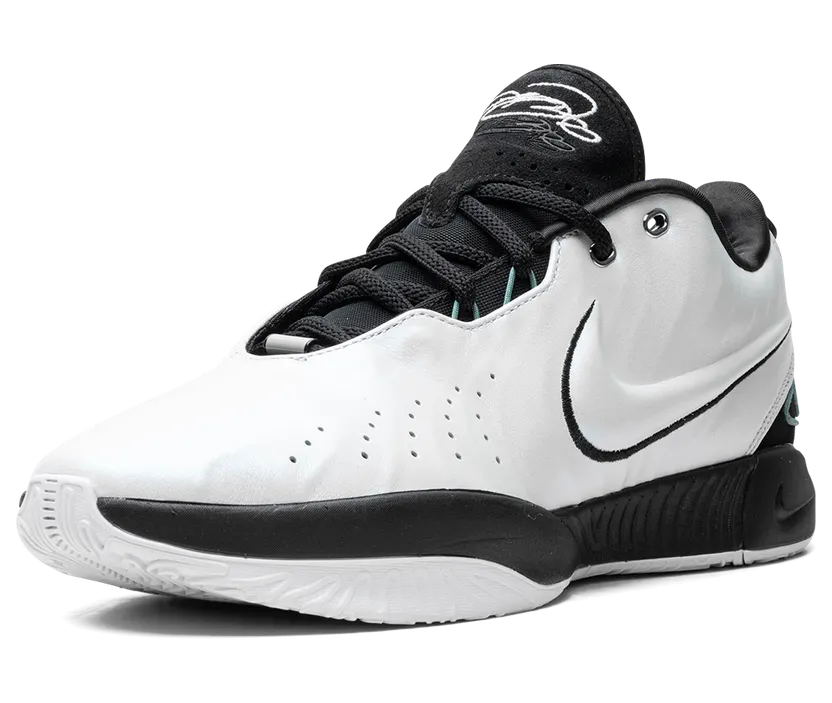 nike-lebron HF5841-100