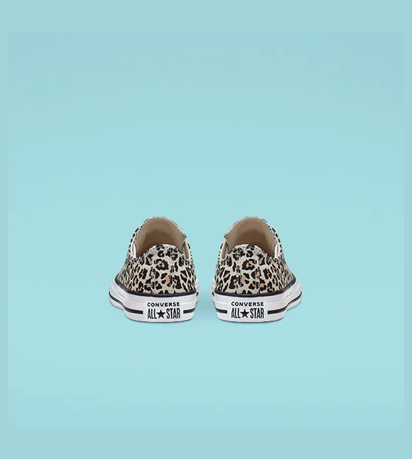 converse-chuck-taylor-all-star 366297C