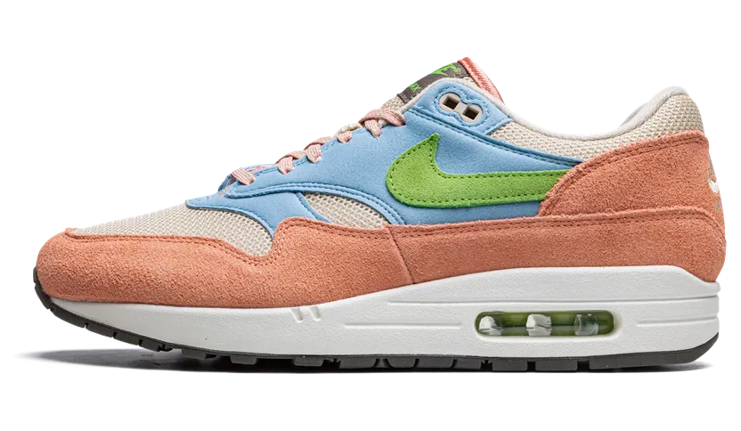 Nike Air Max 1 Light Madder Root Worn Blue (DV3196-800)