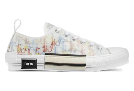Dior B23 Low Top Multicolor Oblique