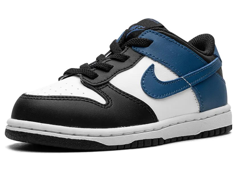 nike-dunk DH9761-104