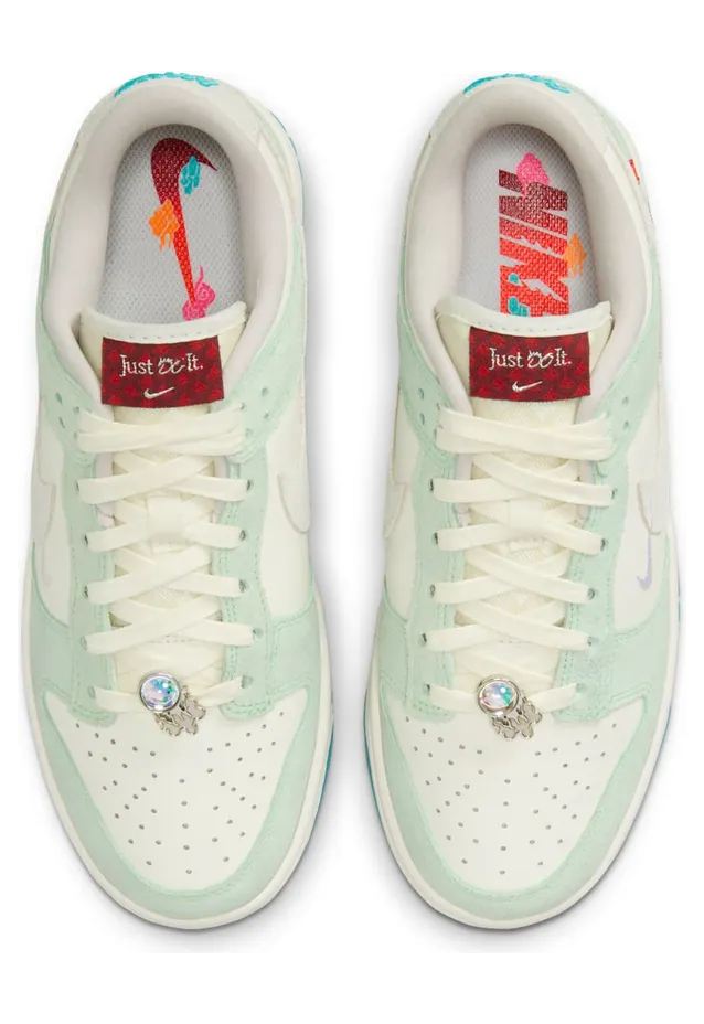 nike-dunk FZ5065-111