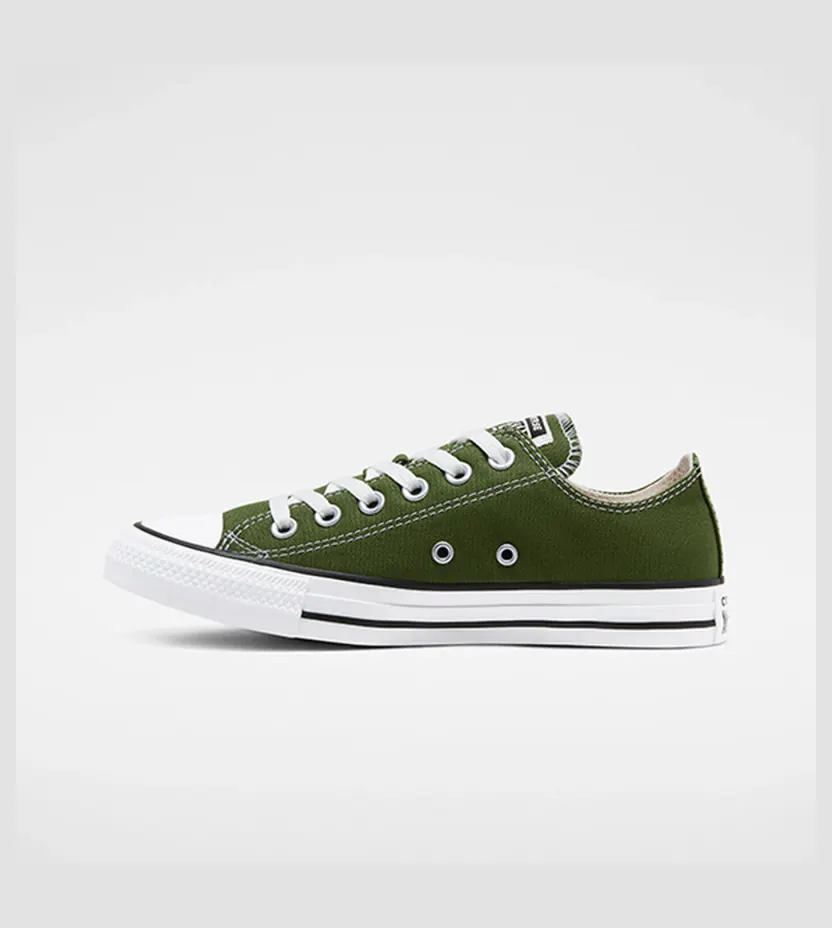 converse-chuck-taylor-all-star 166711C