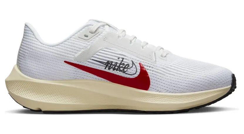 nike-air-pegasus FB7703-100