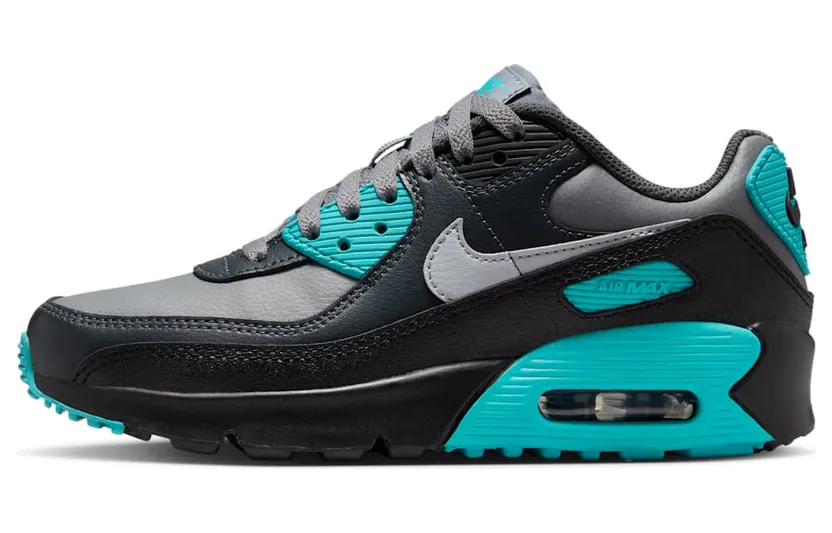 Nike Air Max 90 LTR Cool Grey Dusty Cactus Black Wolf Grey (CD6864-027)