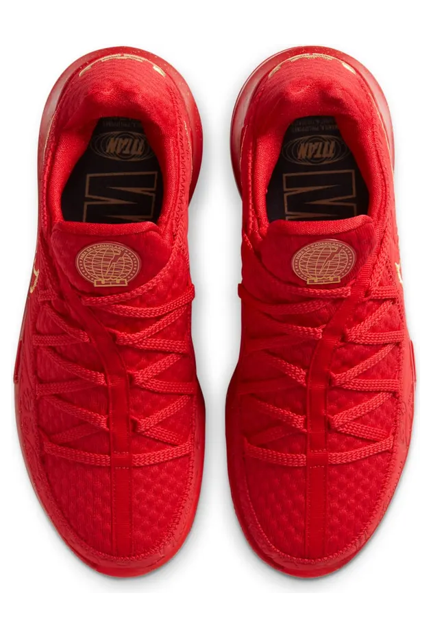 nike-lebron-17 CD5008-600