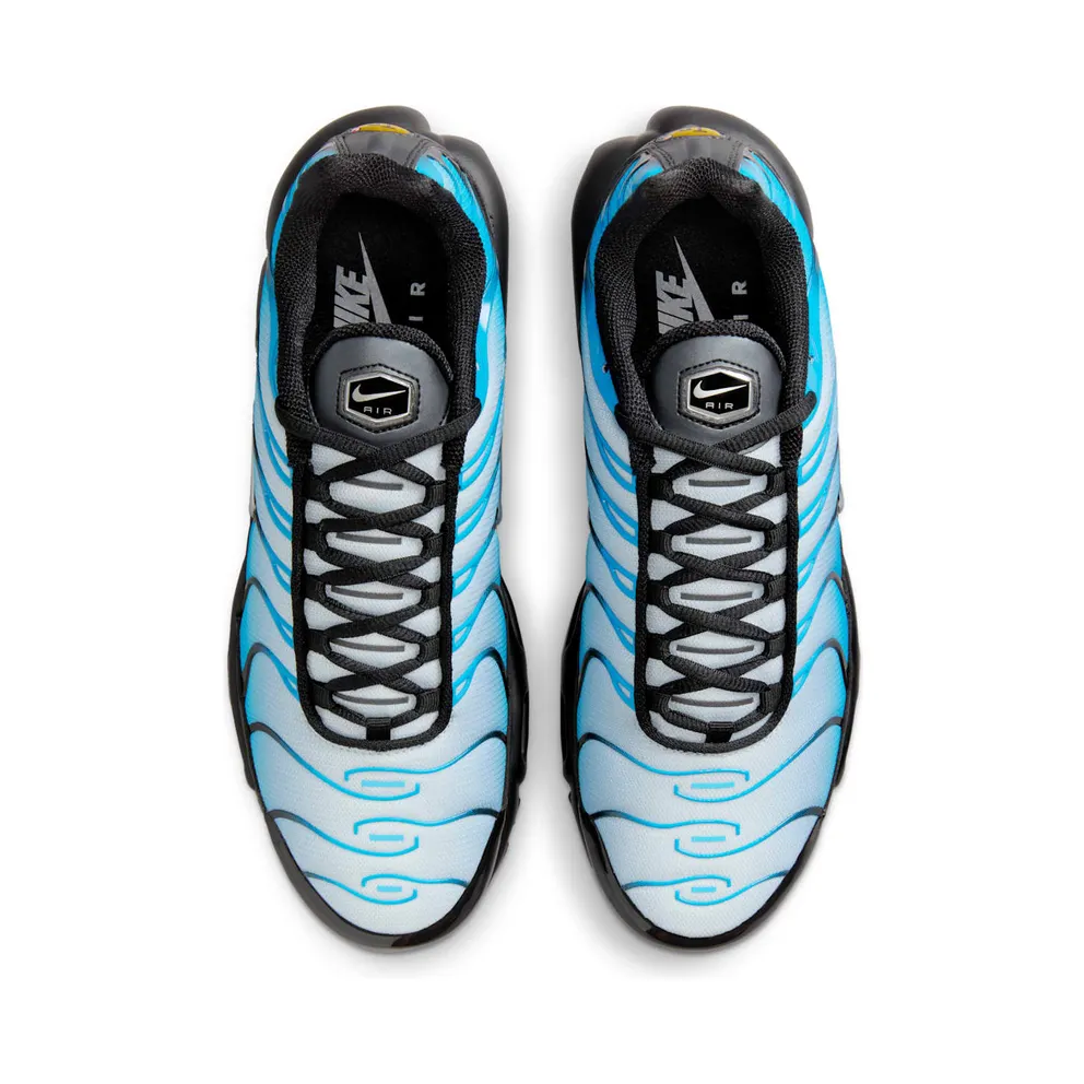 Nike Air Max Plus Blue Gradient (FQ0204-010)