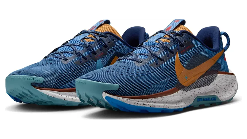 nike-air-pegasus DV3864-400
