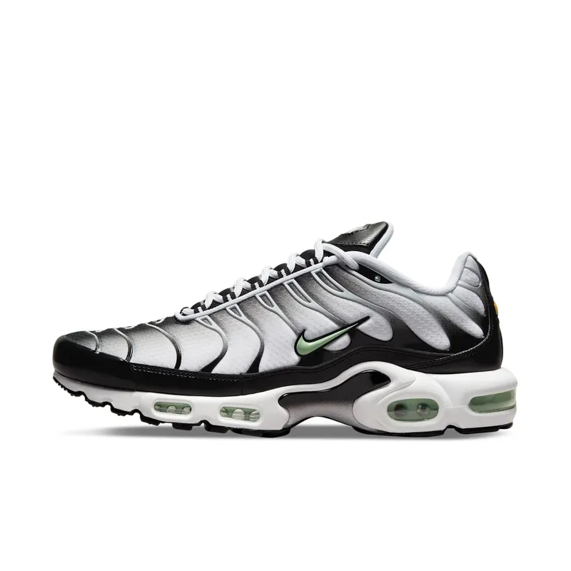 Nike TN Air Max Plus Seafoam Grey Black (DH4776-100)
