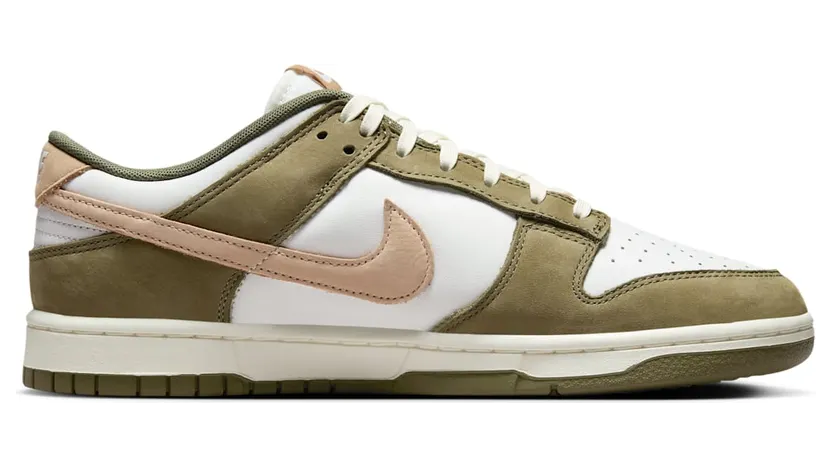 nike-dunk FQ8250-200