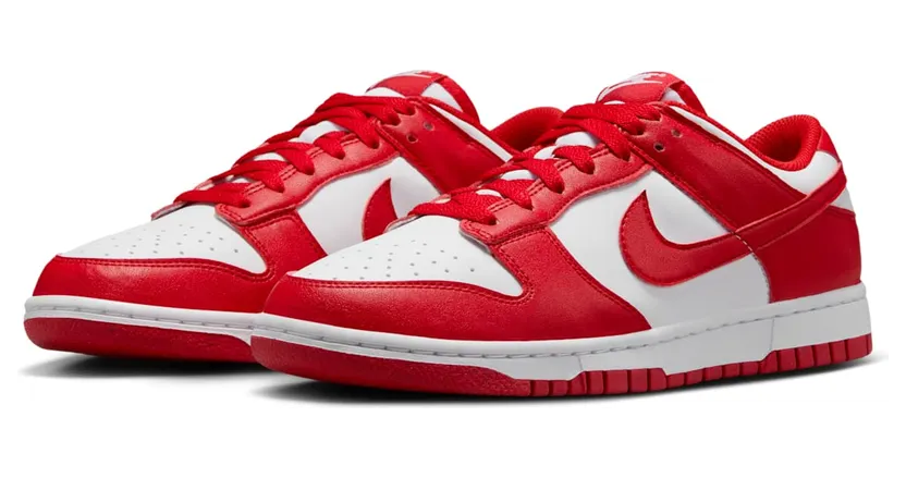 nike-dunk DD1873-116
