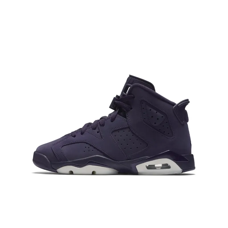 Jordan 6 Retro Purple Dynasty (GS) Purple Dynasty/White (543390-509)