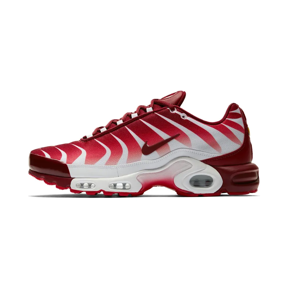 Nike Air Max Plus After the Bite (AQ0237-101)