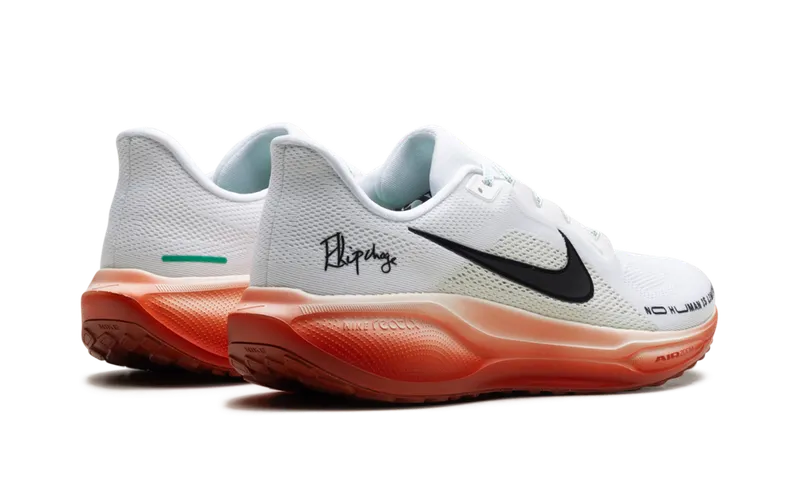 Nike Air Zoom Pegasus 41 “Eliud Kipchoge” (HJ7037-100)