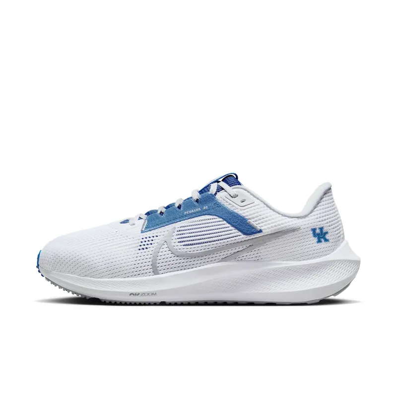 Nike Pegasus 40 Kentucky (DZ5986-100)