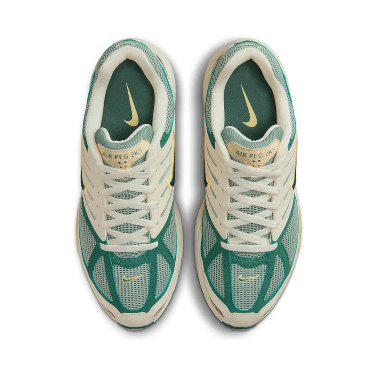 nike-air-pegasus FZ2590-100