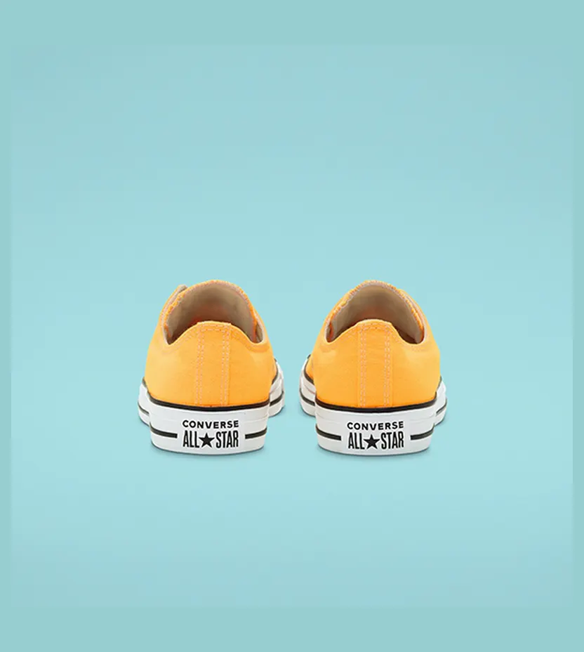 converse-chuck-taylor-all-star 167235C