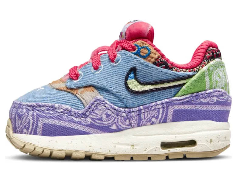 Nike Air Max 1 DR2363-100