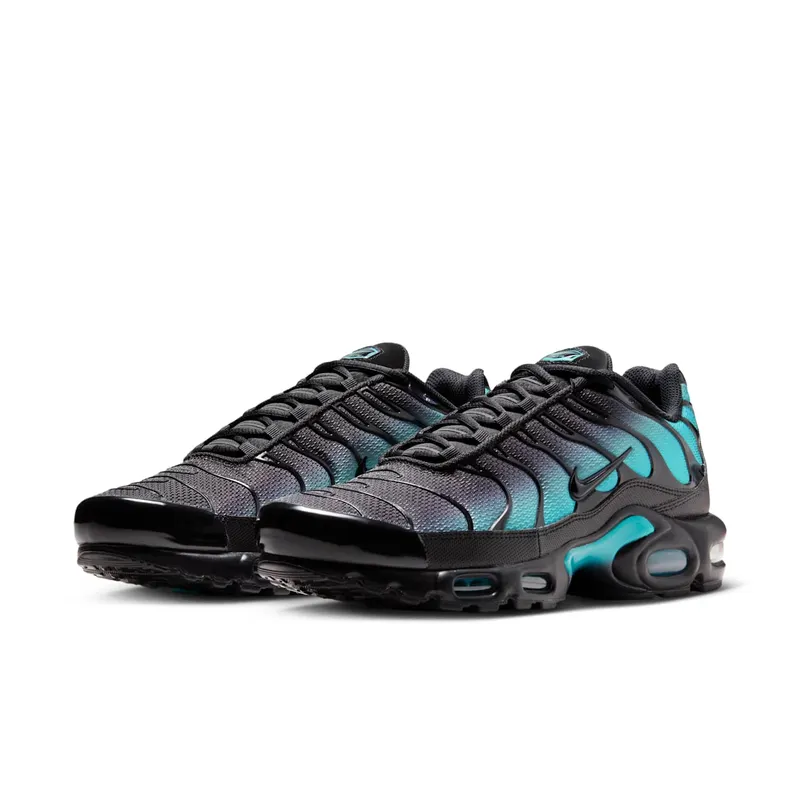 Nike Air Max Plus Black Dusty Cactus (DM0032-016)