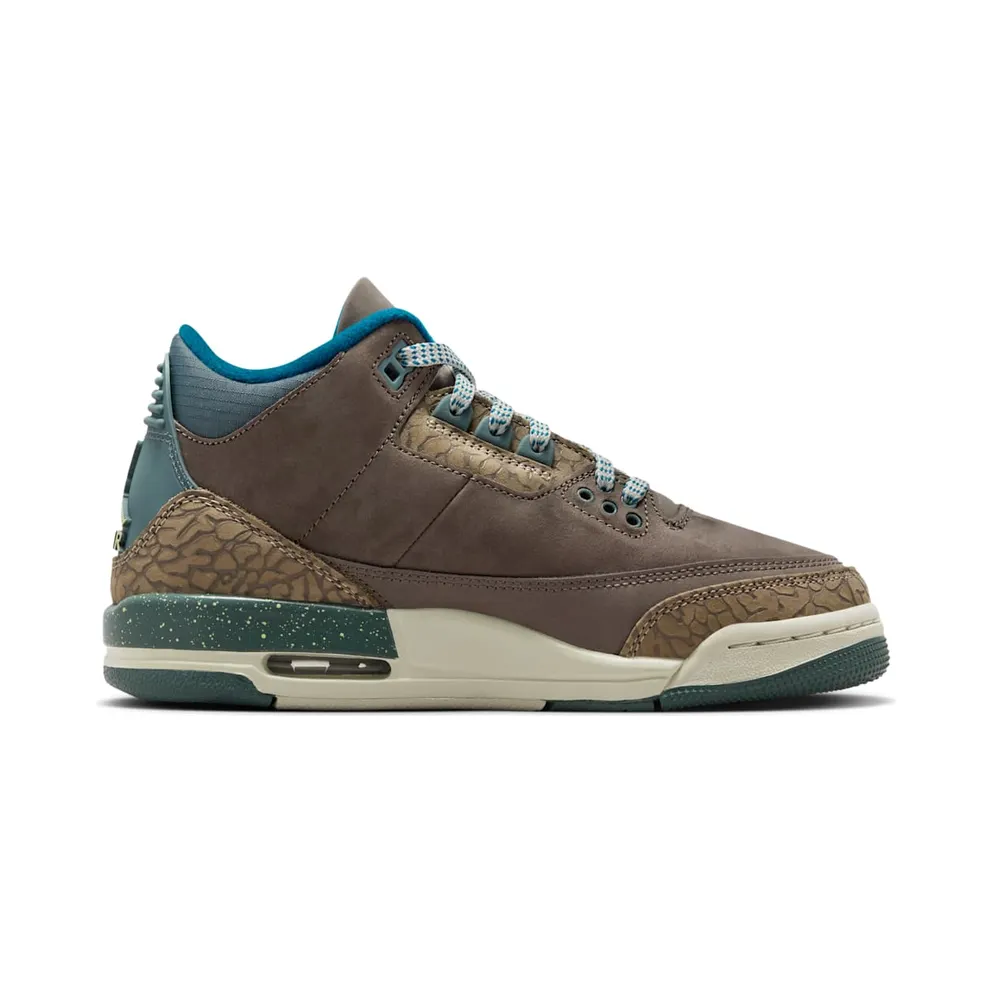Air Jordan 3 GS “We Outside” (IB7066-001)