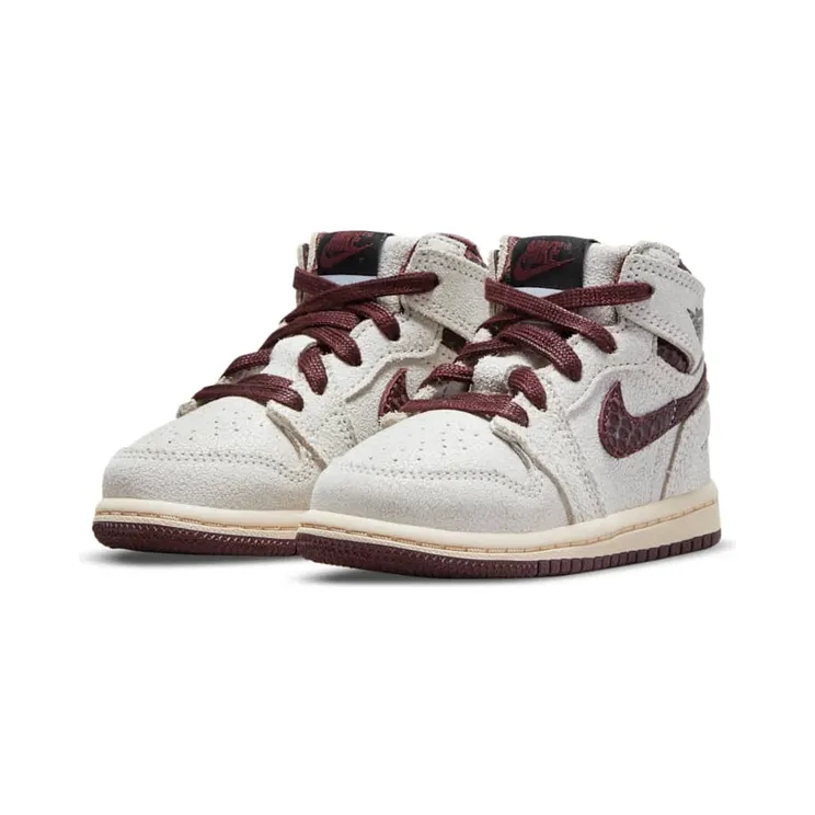 air-jordan-10 DO7098-100