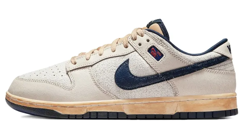 nike-dunk IH6766