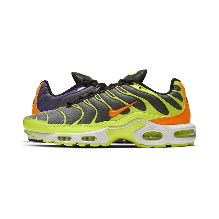 Nike Air Max Plus Color Flip – Black (CI5924-061)