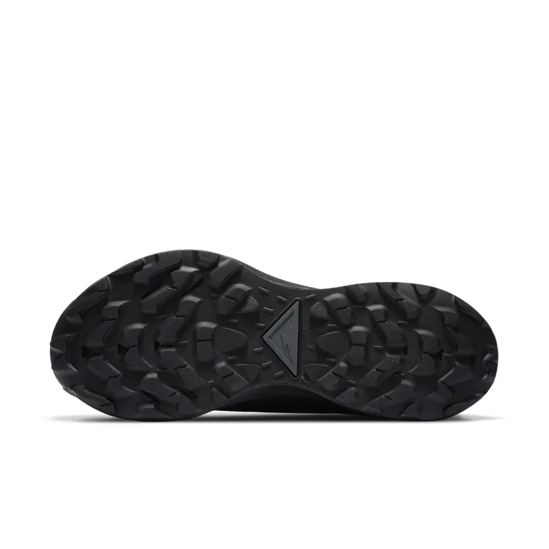 Nike Pegasus Trail 2 GORE-TEX Trail Running Black (CU2018-001)