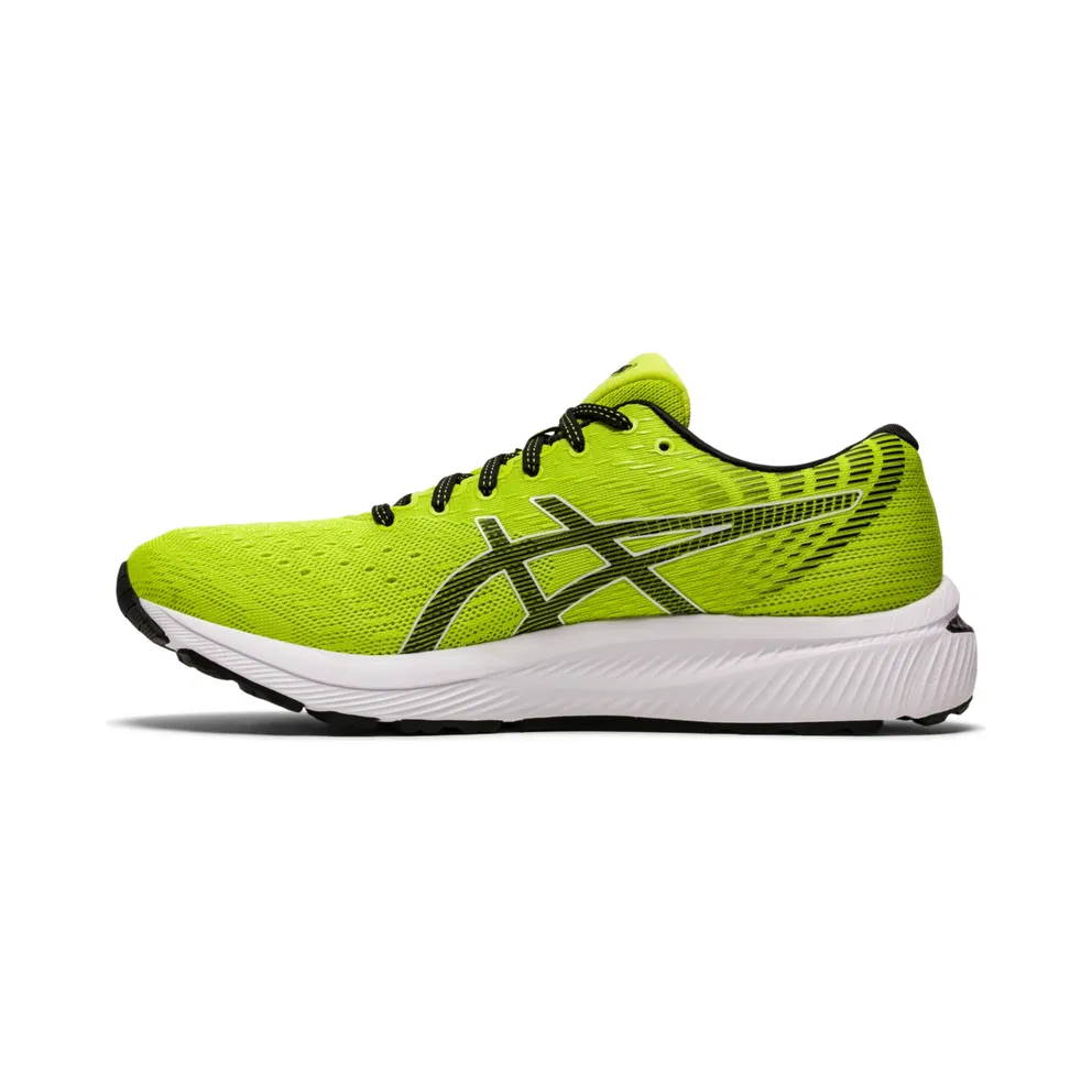 ASICS GEL-Cumulus 22 (1011A862-300)