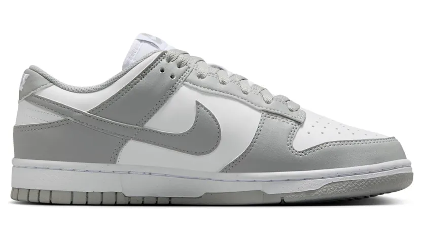 nike-dunk DD1873-113