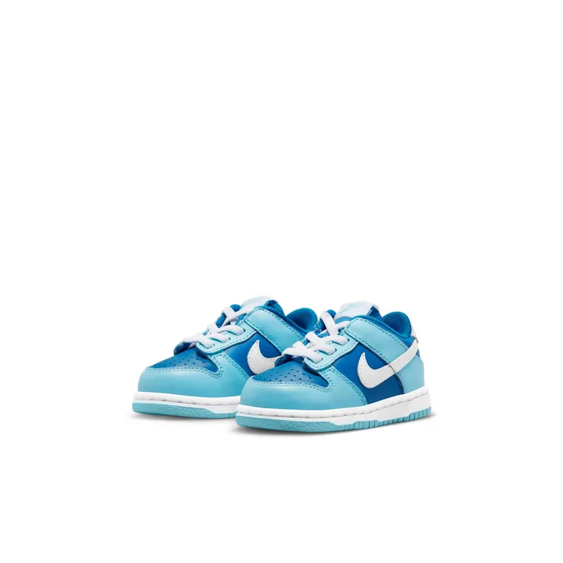 Nike Dunk Low Retro QS TDE “Argon TD” (DV2634-400)