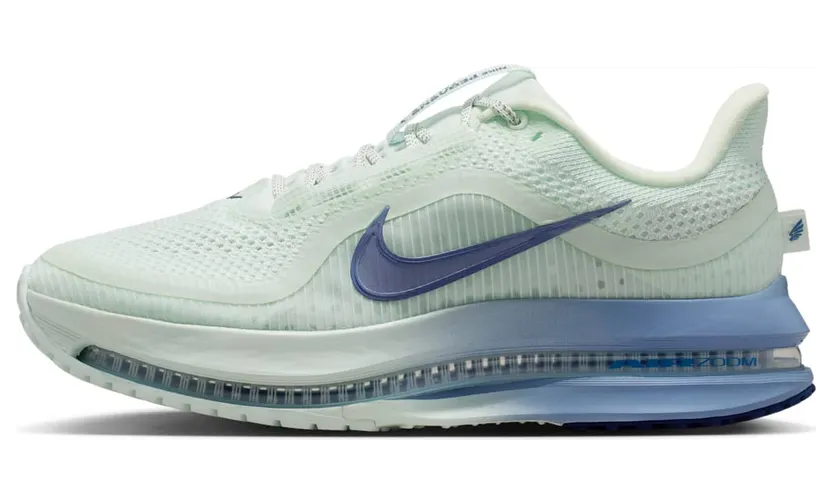 nike-air-pegasus HQ2593-301