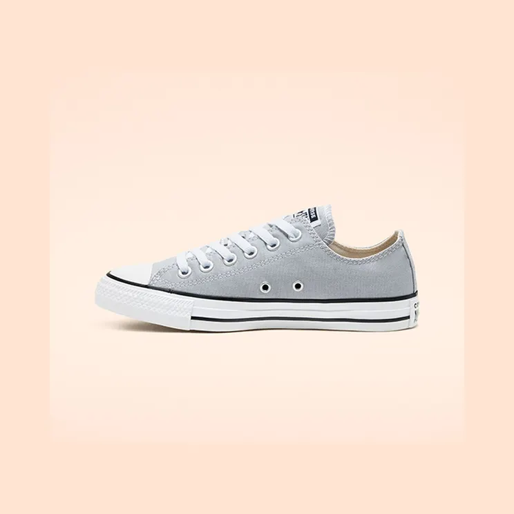 converse-chuck-taylor-all-star 166710C