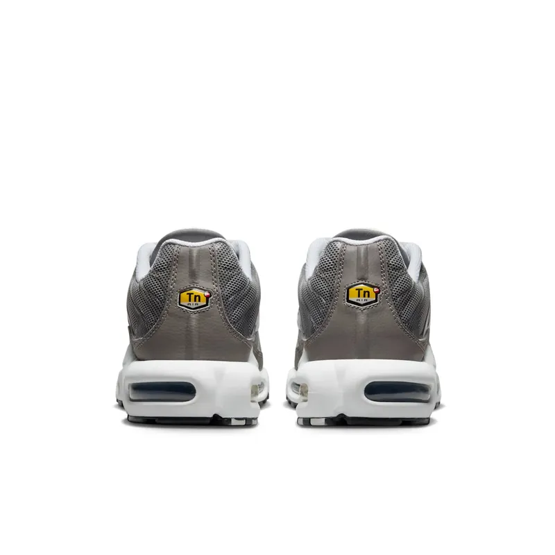 Nike Air Max Plus Flat Pewter (DV7665-002)