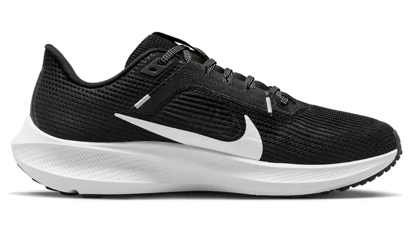 nike-air-pegasus FB7703-001