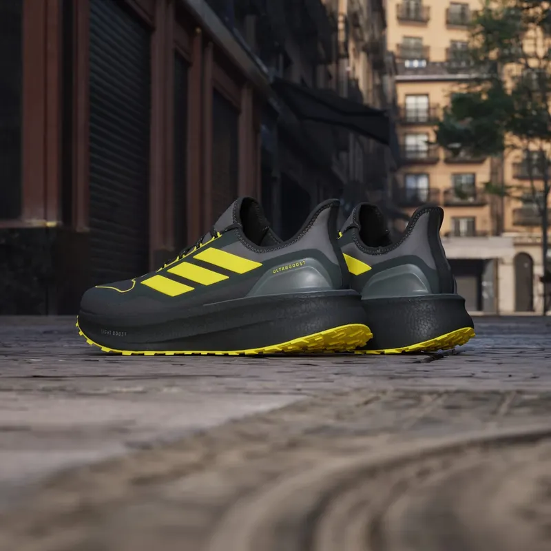 Adidas Ultraboost 5 GTX Carbon / Core Black / Grey Four (JI3242)