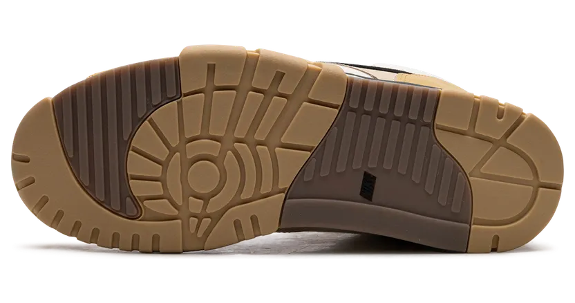 air-jordan-trainer-1 DV7201-100