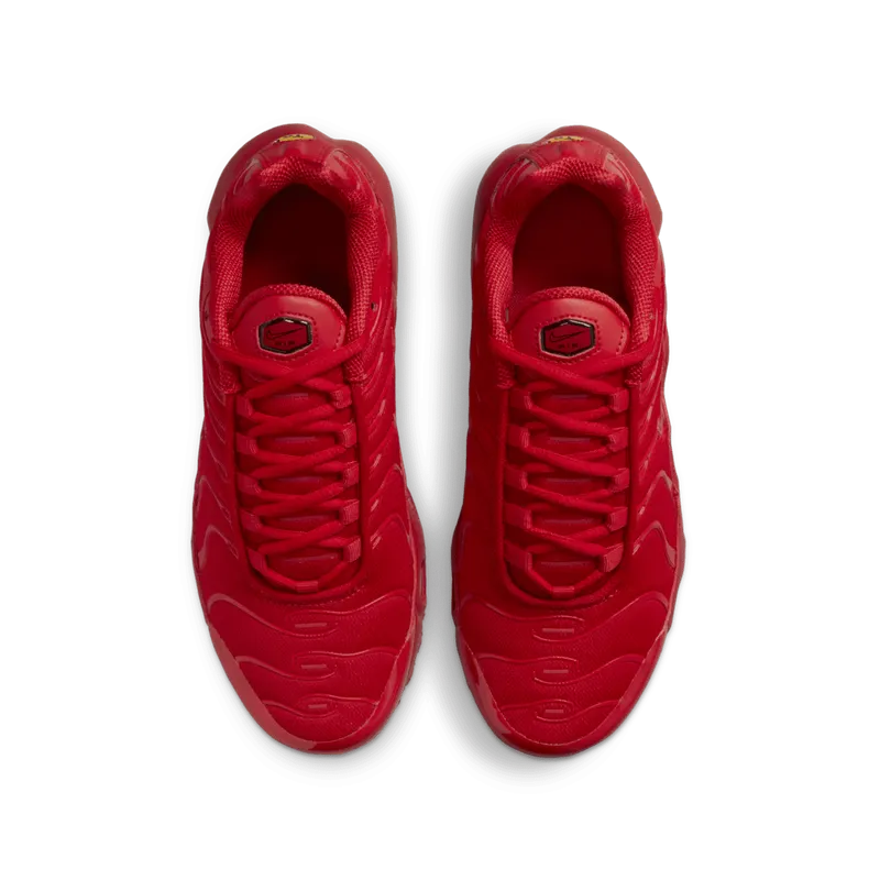 Nike Air Max Plus University Red (GS) (DM8877-600)