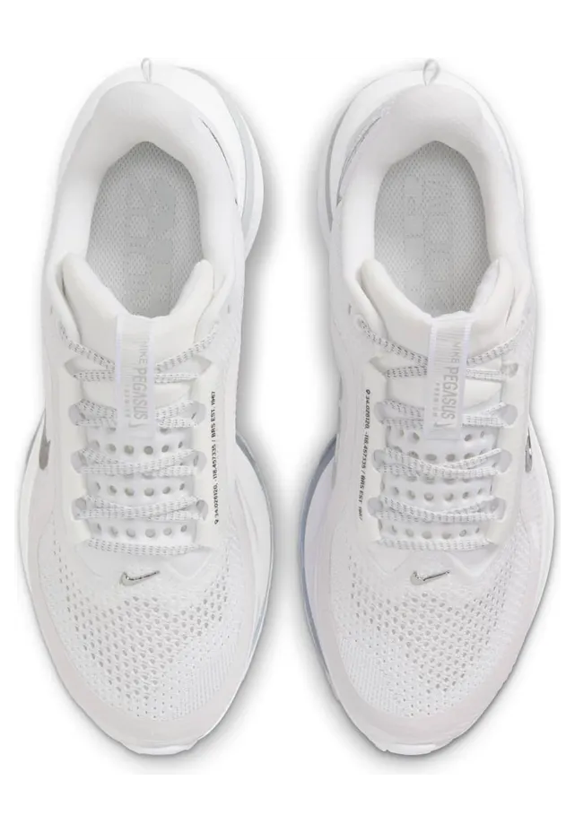 nike-air-pegasus HQ2593-102