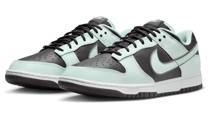 nike-dunk FZ1670-001