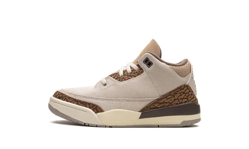 Air Jordan 3 PS “Palomino” (DM0966-102)