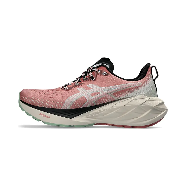 asics-novablast 1012B654.250