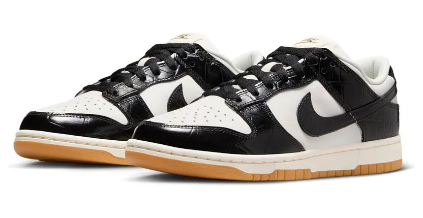 nike-dunk FJ2260-003